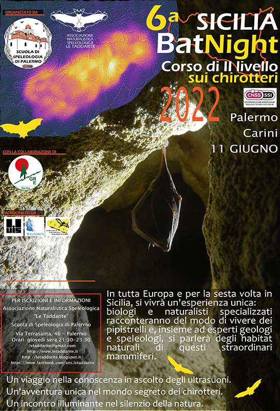 Manifesto 6batnight