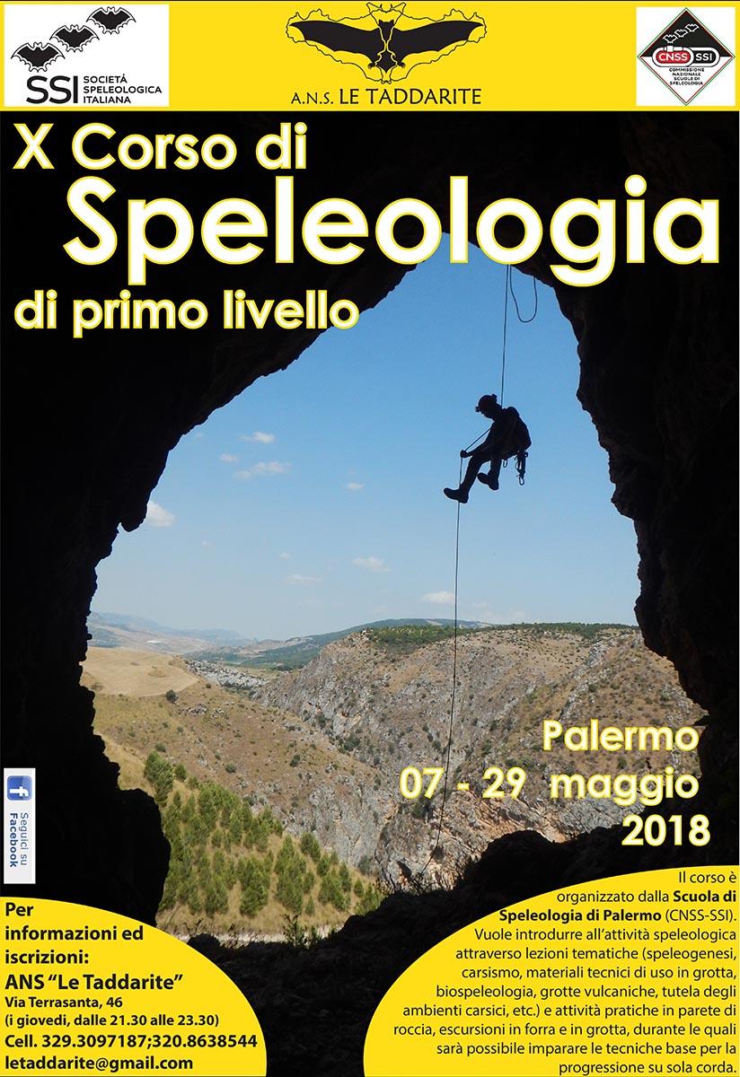 Stampa Stampa