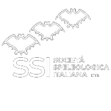 SSI