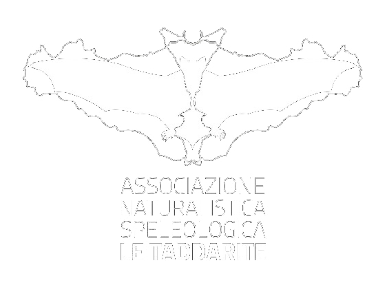 cropped-Logo-bianco.png